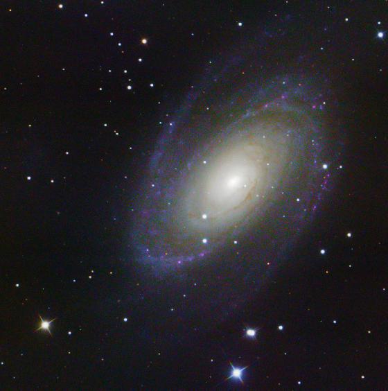 M81