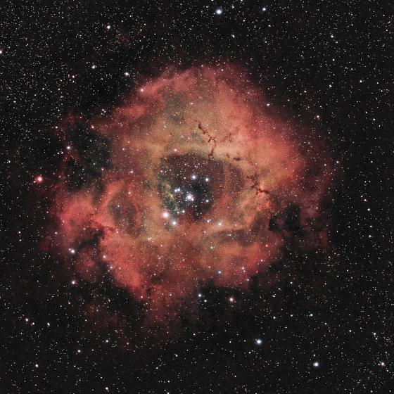 Rosette full6C -1000
