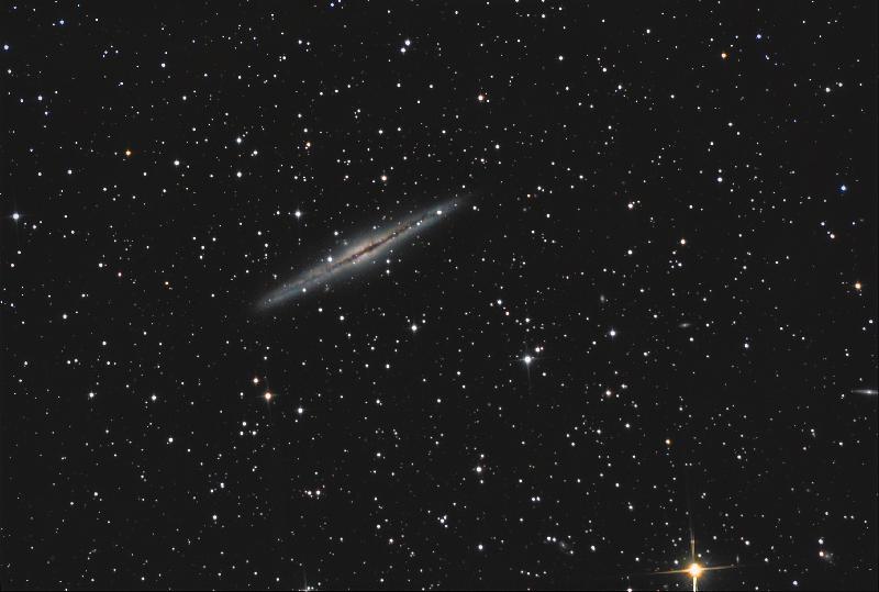 ngc891_full_50