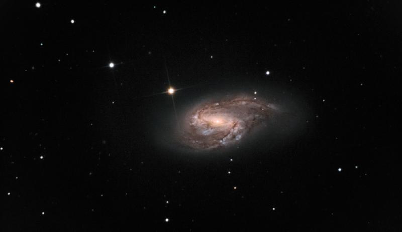 M66 M66