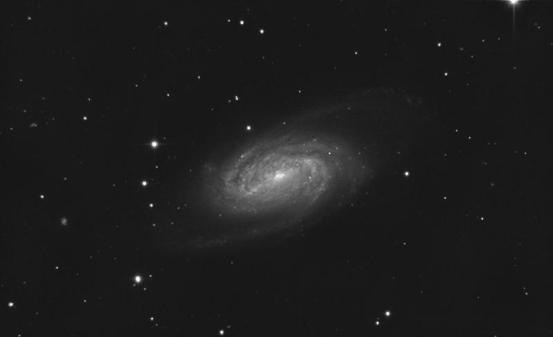 ngc2903 NB 