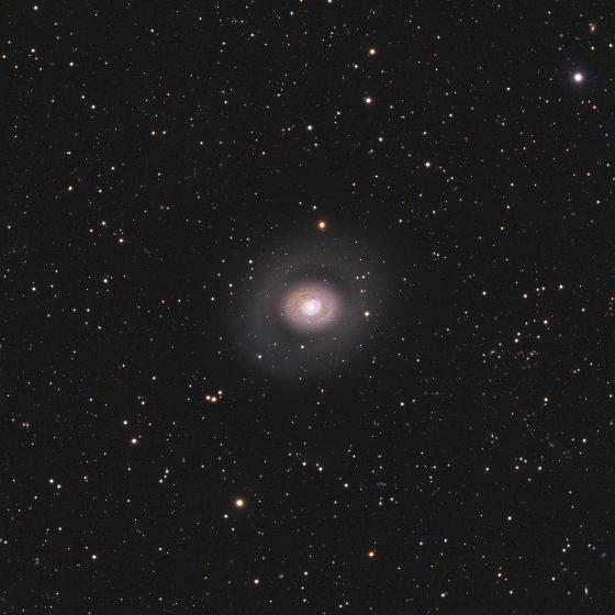 M94, Mosaïque C11 EHD et Apo TS102 M94, Mosaïque C11 EHD et Apo TS102