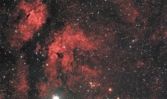 IC 1318