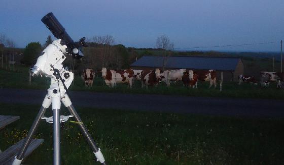 Observations en charmante compagnie ! Observations en charmante compagnie !