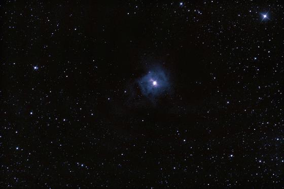 NGC7023 - Nébuleuse de l'Iris