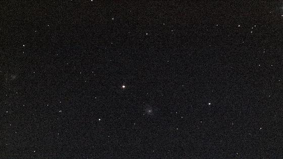 M99 et ses voisines NGC M99 et ses voisines NGC