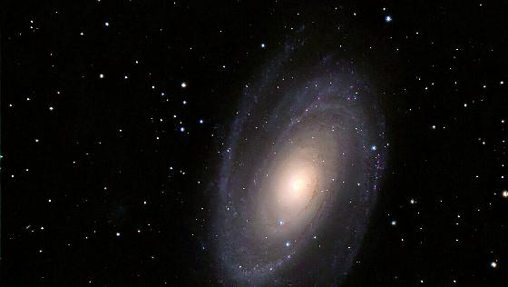 M81