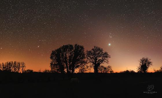 Orion, les Pléiades, Vénus dans la lumière zodiacale