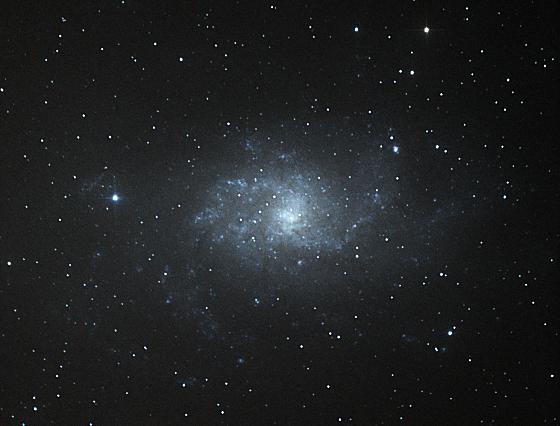 M33