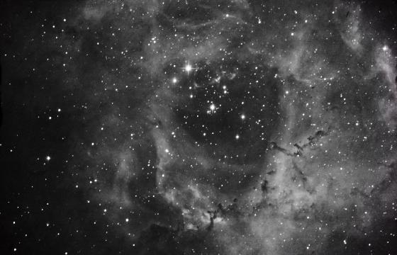 NGC2237 eos 350D débayérisé NGC2237 eos 350D débayérisé