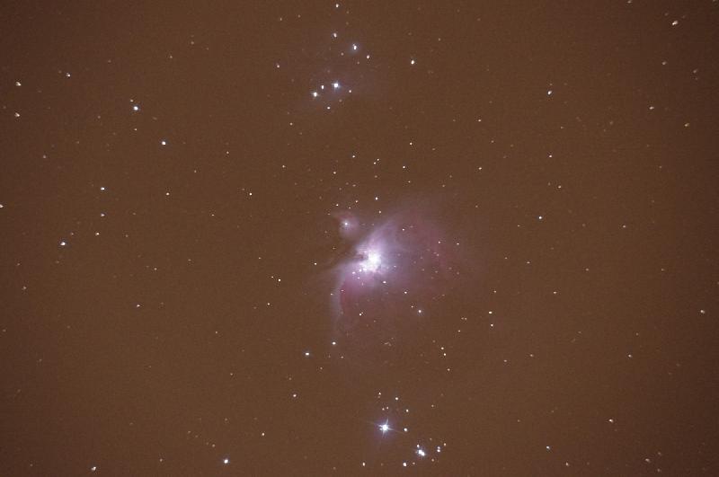 brute m42