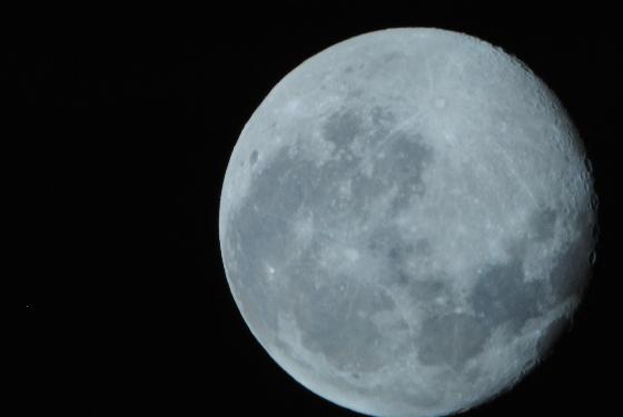 lune lune