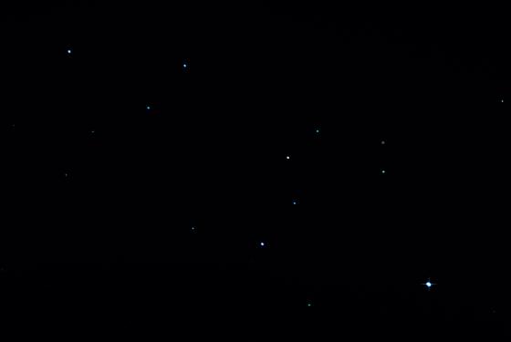 Constellation Lion Constellation Lion