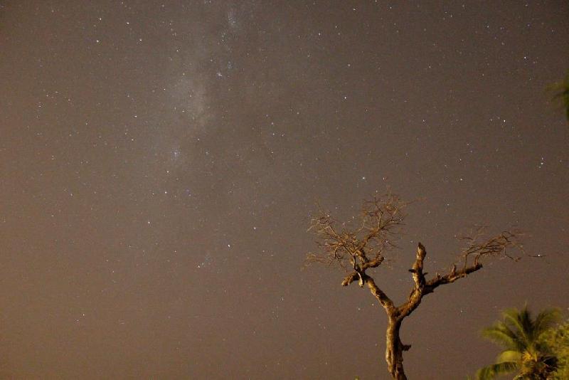 Arbre mort et voie lactée Arbre mort et voie lactée