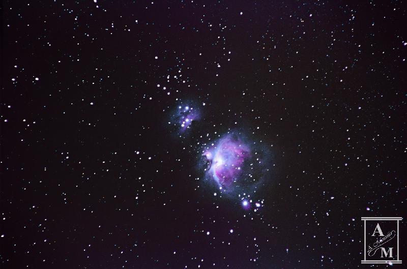 M42