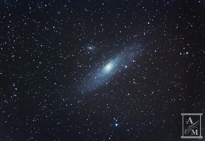 M31