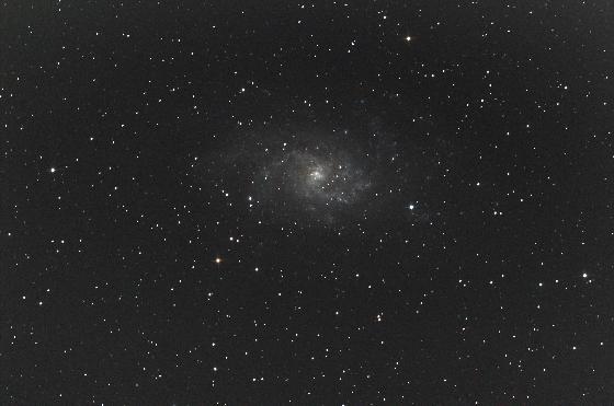 M33