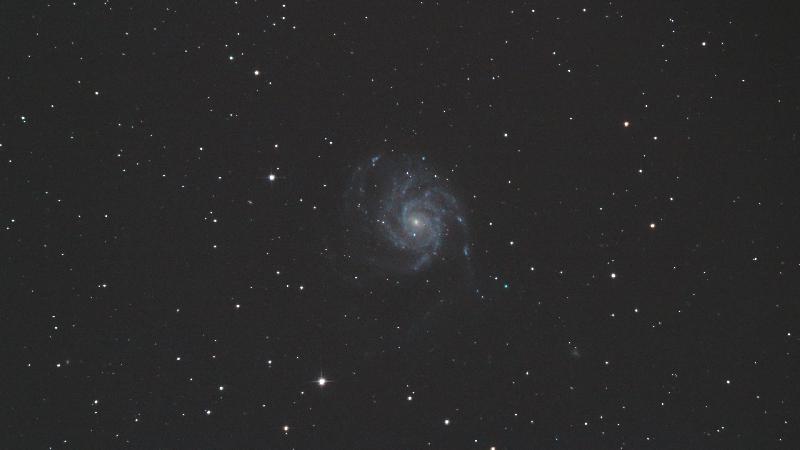 M101