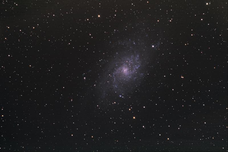 M33 