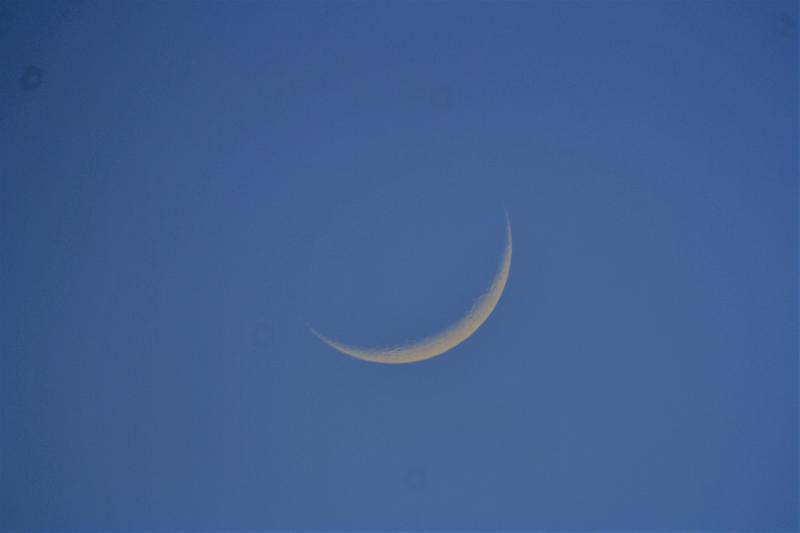 Croissant lunaire 02 déc 2016 Croissant lunaire 02 déc 2016