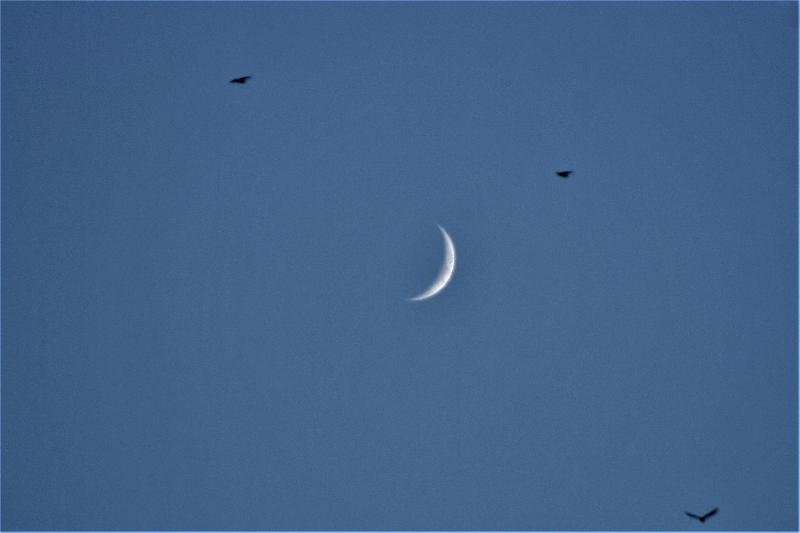 A vol d'oiseau A vol d'oiseau