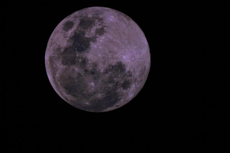 lune rose