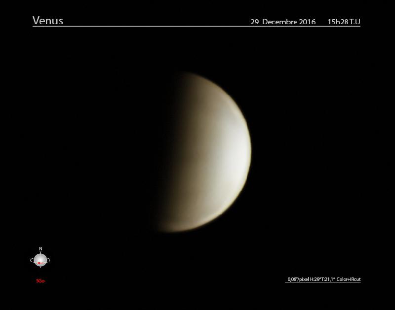 Venus