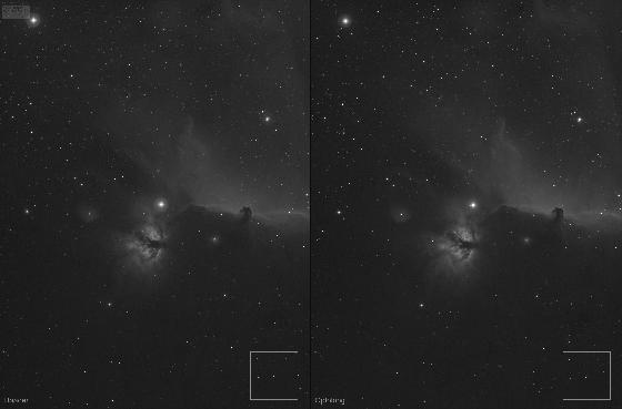 horsehead nebula horsehead nebula