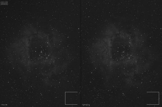 Rosette Nebula