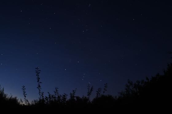 levé d'orion et du taureau