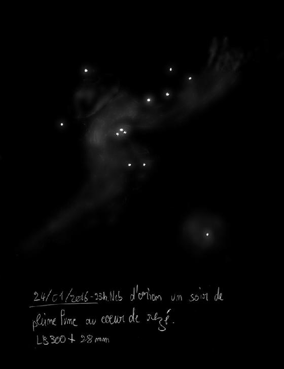 M42 - Nébuleuse d'orion M42 - Nébuleuse d'orion