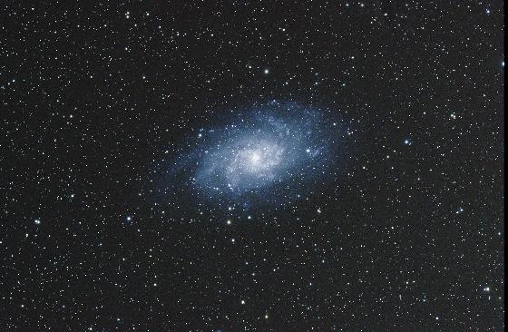 M33