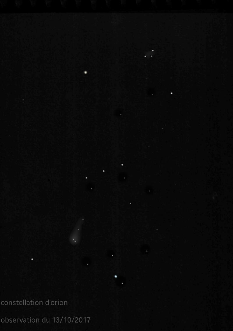 Orion Orion