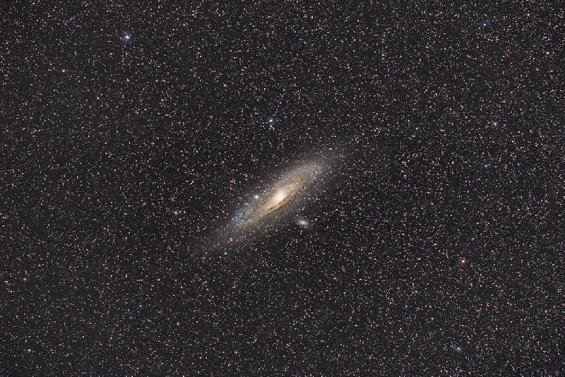 M31