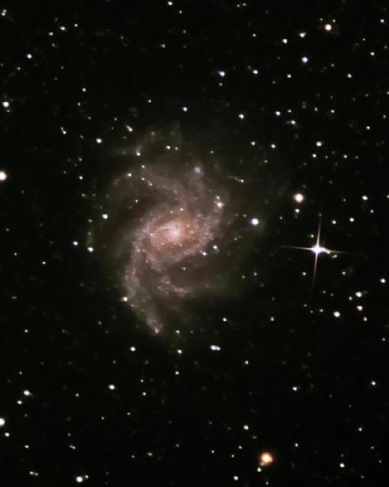 NGC 6946 par britatal NGC 6946 par britatal