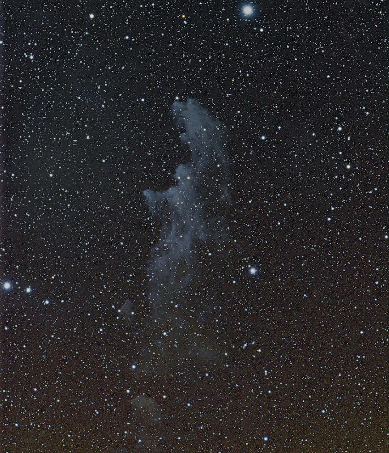 IC 2118 
