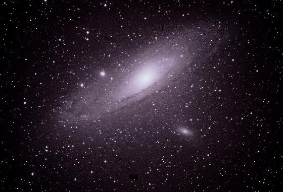 M31