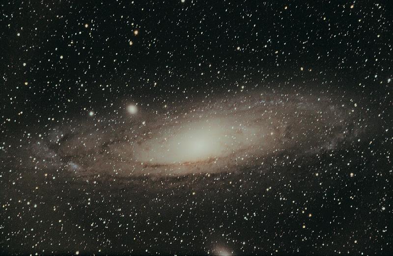 M31