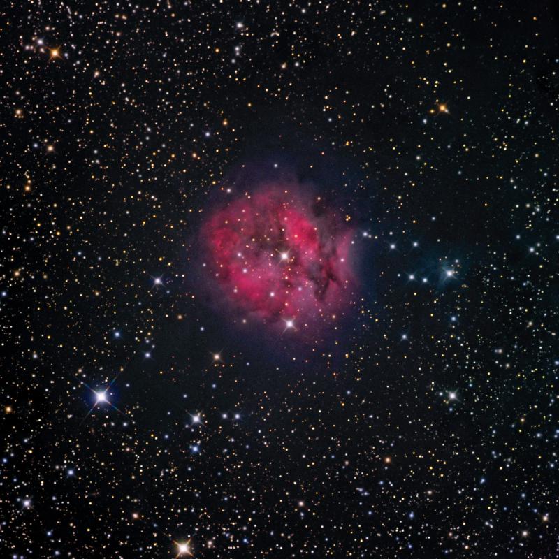 Cocoon Nebula