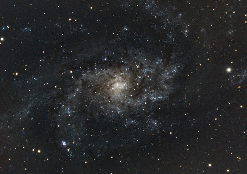 M33