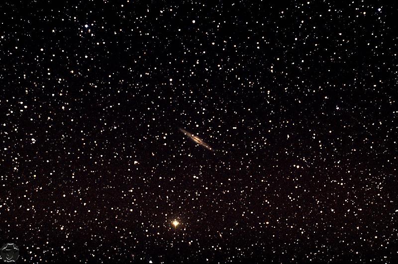 Ngc891-couleur Ngc891-couleur