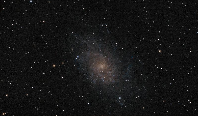 M33 M33
