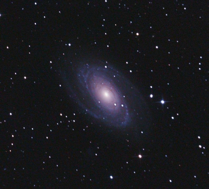 M81 M81