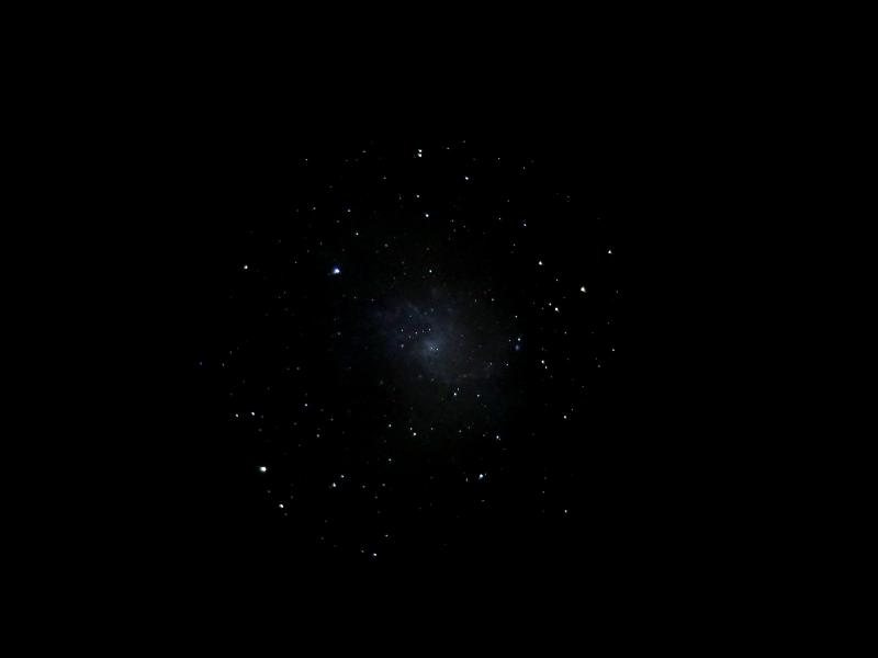 M 33