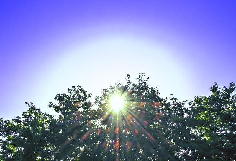 Soleil - Mon Canon 80D Astrodon en test diurne