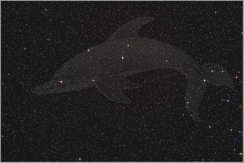 Constellation Dauphin - Le cercueil de Job