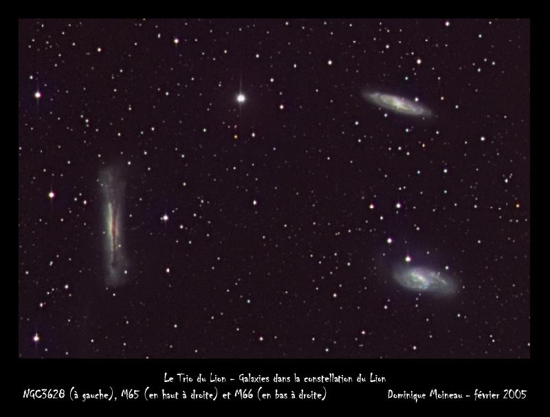 Trio du Lion