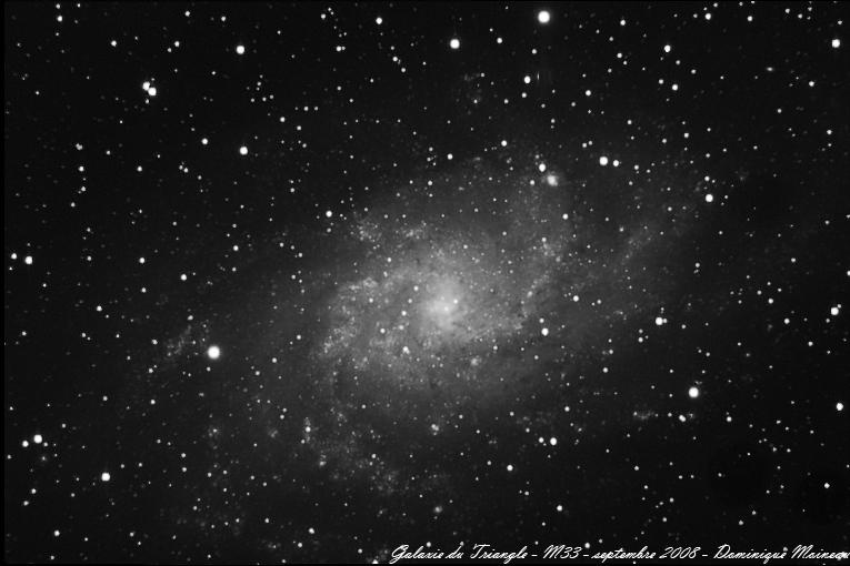 M33