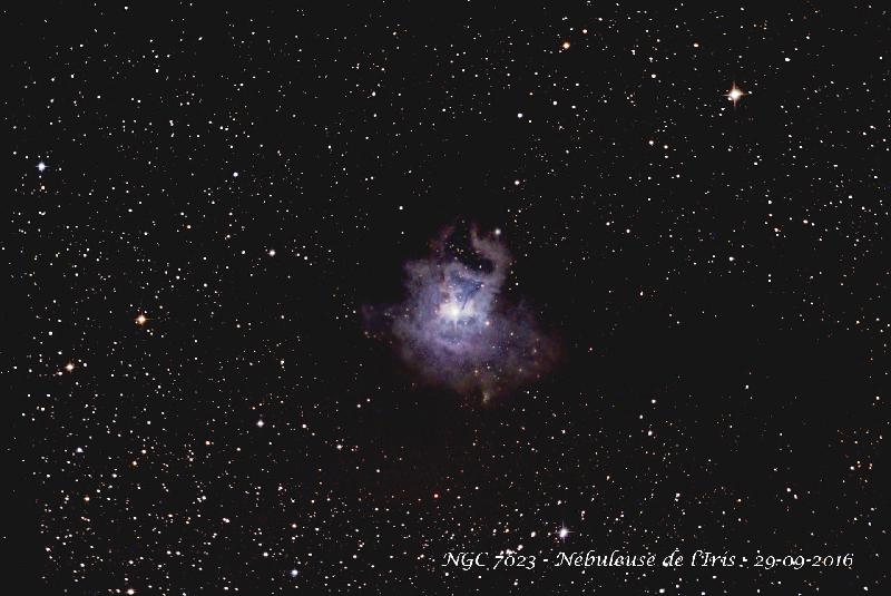 NGC 7023 - Nébuleuse de l'Iris NGC 7023 - Nébuleuse de l'Iris