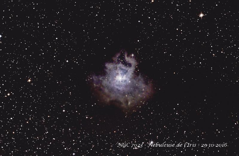 NGC 7023 - Nébuleuse de l'Iris 2 NGC 7023 - Nébuleuse de l'Iris 2